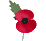  Remembrance Day Poppy Badge for Facebook 245508281